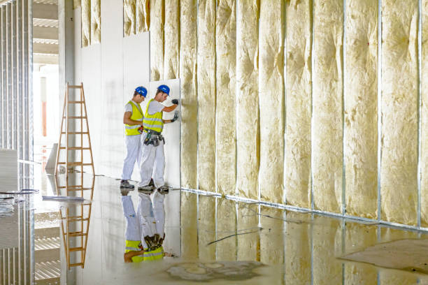 Best Residential Insulation in Yazoo City, MS